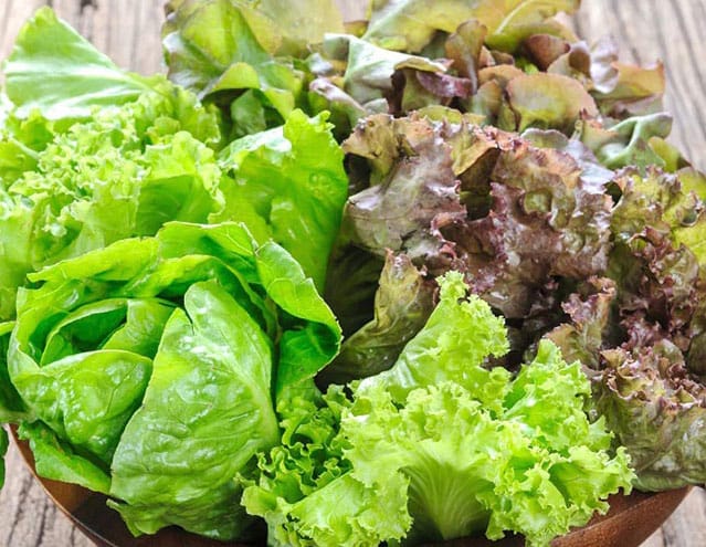 Gourmet Baby Mesclun Mix