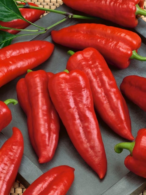 Marconi Red