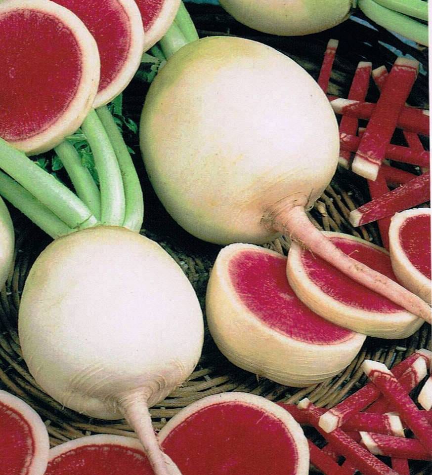 Watermelon
