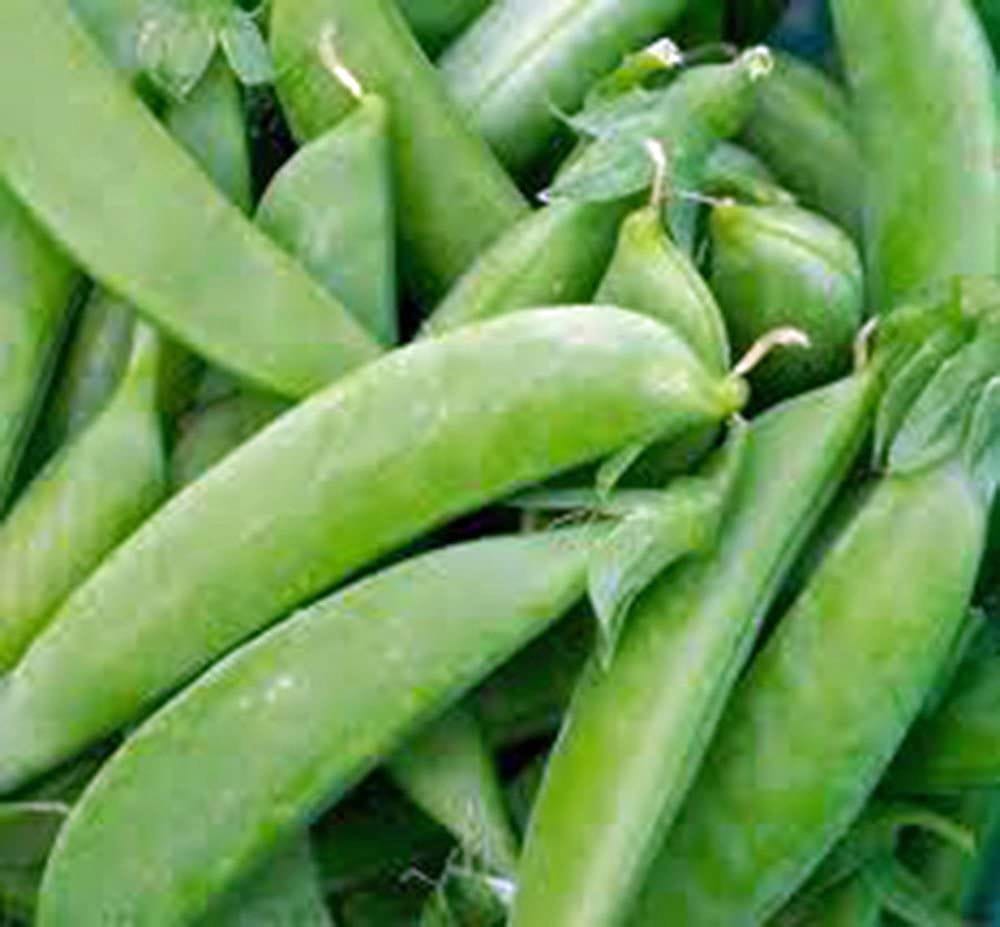 Sugar Snap Tendersweet