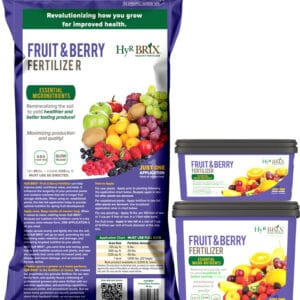 HyR Brix Fruit & Berry