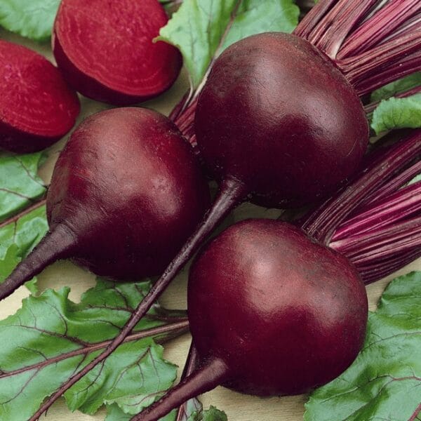 Detroit Dark Red
