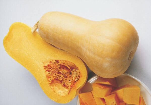 Bugle