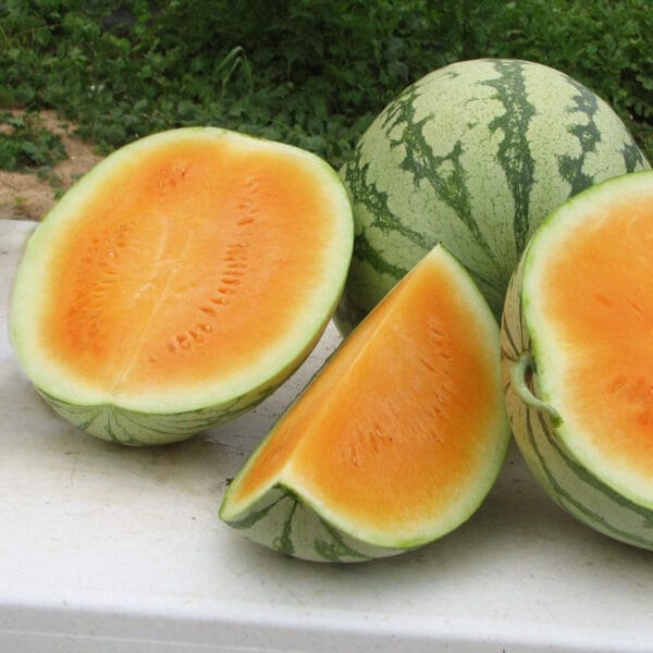 Orange Crisp