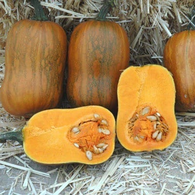 Honeynut
