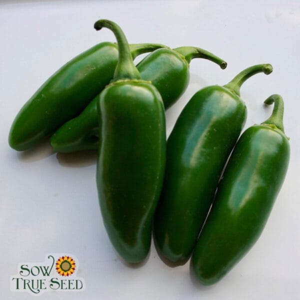 Jalapeño - Image 2