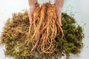 American Ginseng