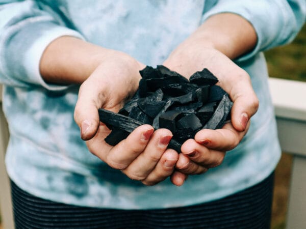 Biochar Soil Amendment