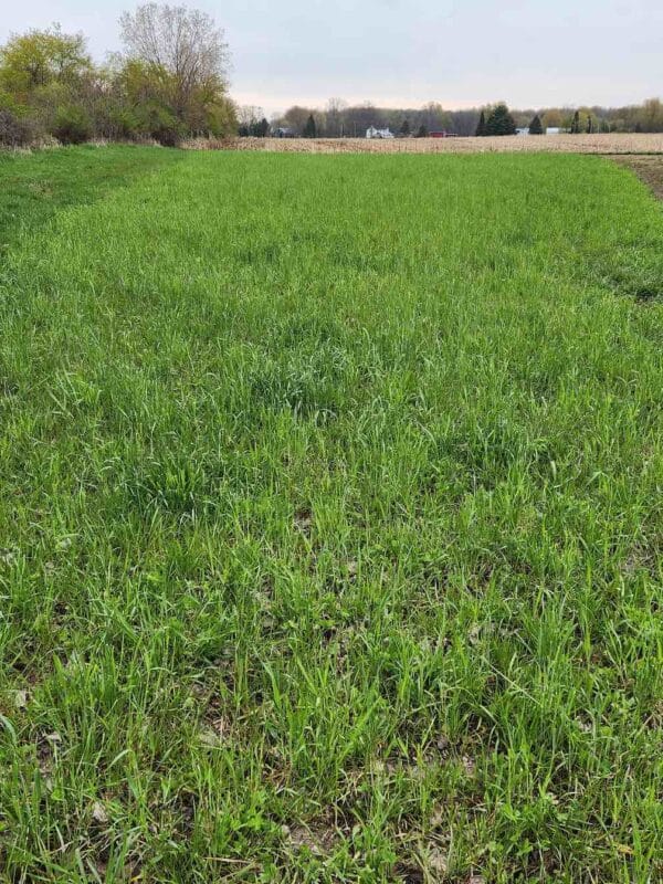 No Till Mix