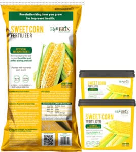 HyR Brix Sweet Corn