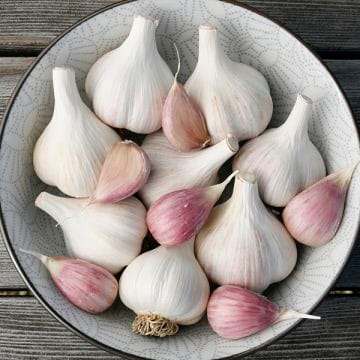 Garlic . Music