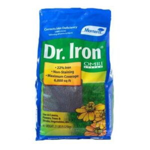 Dr. Iron