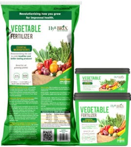HyR Brix Vegetable