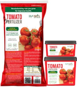 HyR Brix Tomato