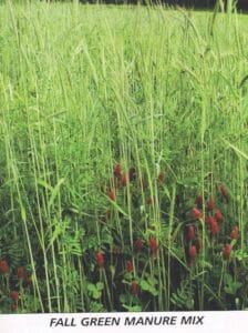 Fall Green Manure Mix