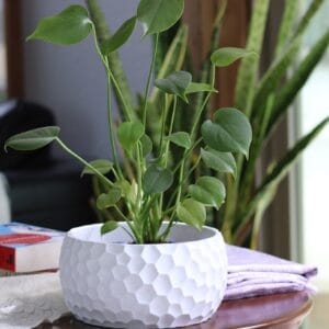 Honey Comb Bowl