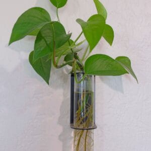 Propagation Planter