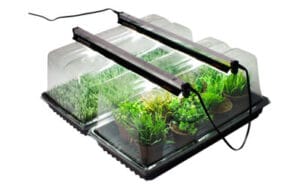 Seed Starting Tray Lid (high) : NanoDome