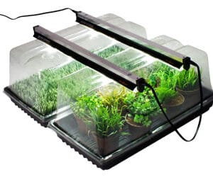 Seed Starting Tray Lid (high) : NanoDome