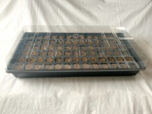 Easy Start Q-Plug Kit