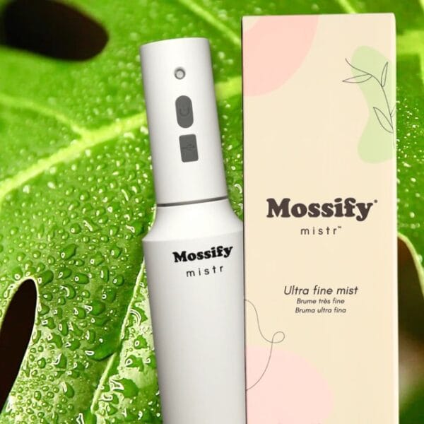 Battery Mister - Image 2
