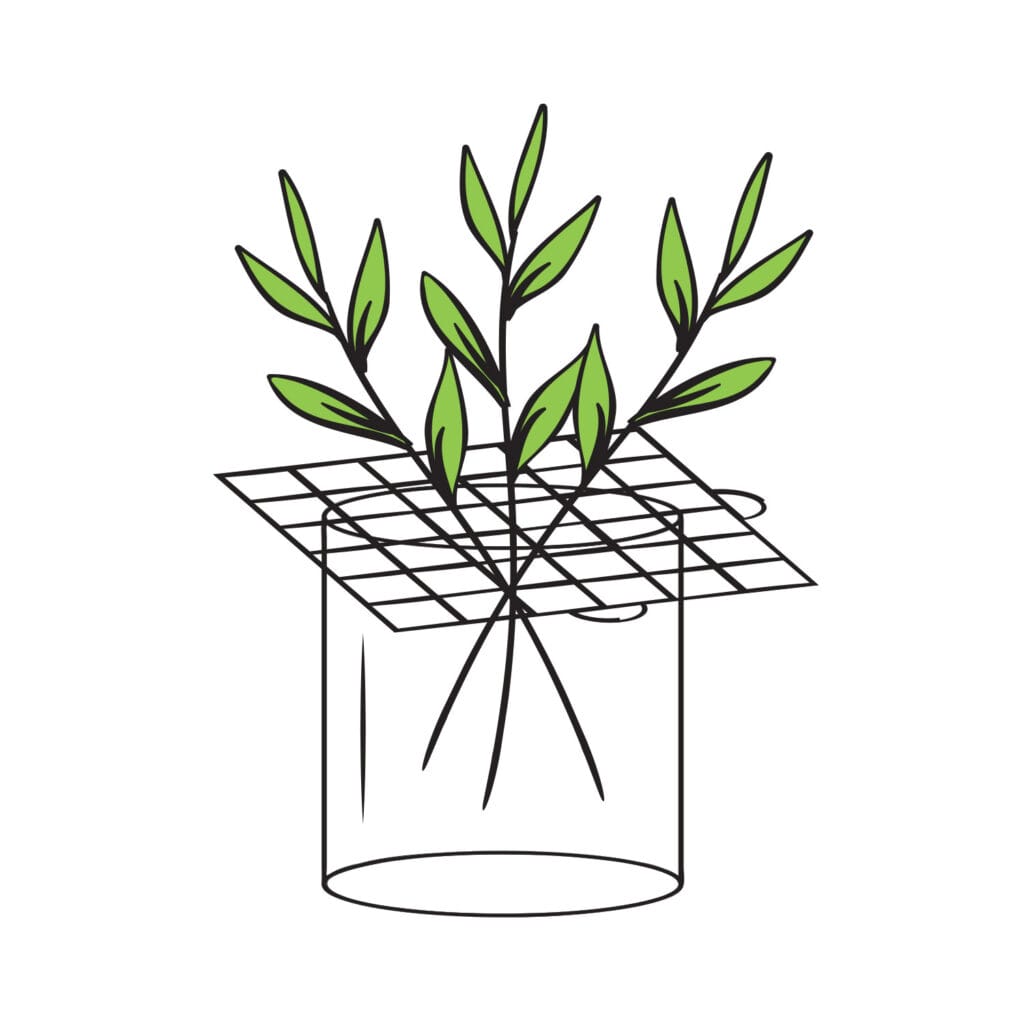 Floral Grid 6 Floral Grid - Image 6