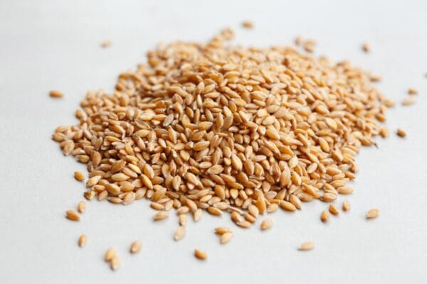 Einkorn Berries