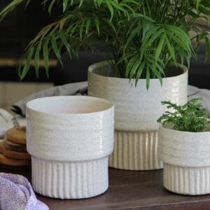 Jewel Martini Planter
