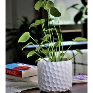 Honey Comb Planter