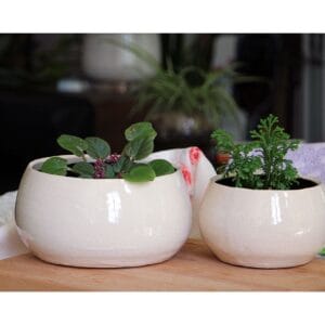 Jewel Bowl
