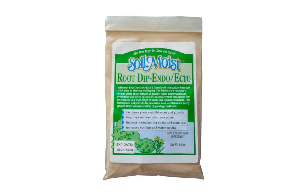 Root Dip Transplant