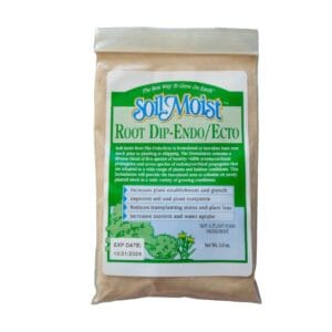 Root Dip Transplant