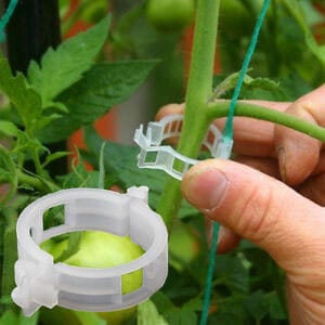 Tomato Vine Clips