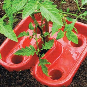 Tomato Tray Automater