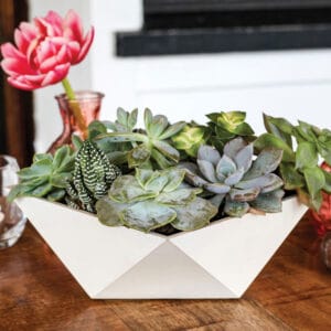 Deco Faceted Bowl Succulent Planter
