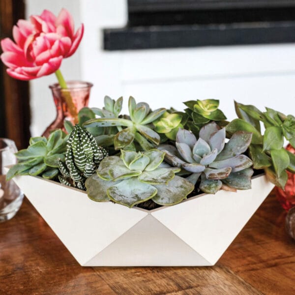 Deco Faceted Bowl Succulent Planter