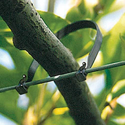 Vine Ties