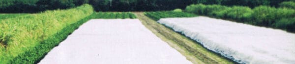 Row Cover 1 oz Pro 34