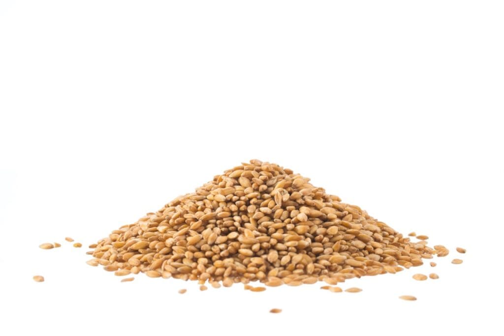 Spelt Berries