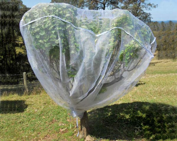 Insect Netting - Image 2