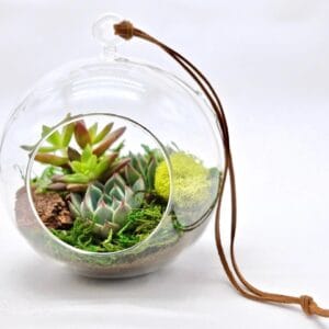 Round Hanging Terrarium