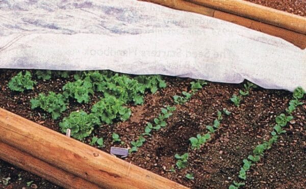 Row Cover 2 oz Pro 70