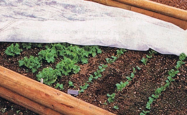 Row Cover 2 oz Pro 70