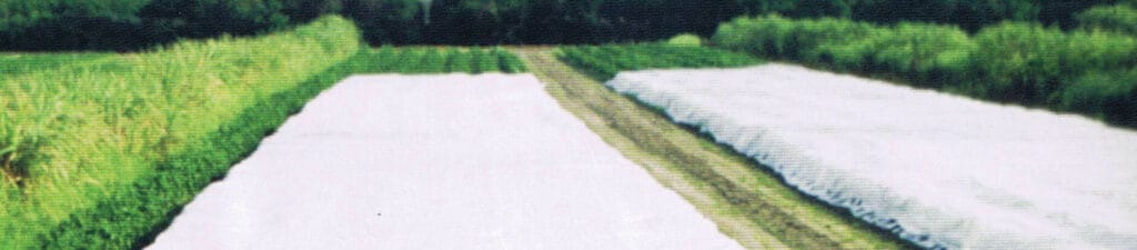 Row Cover 2 oz Pro 70 2 Row Cover 2 oz Pro 70 - Image 2