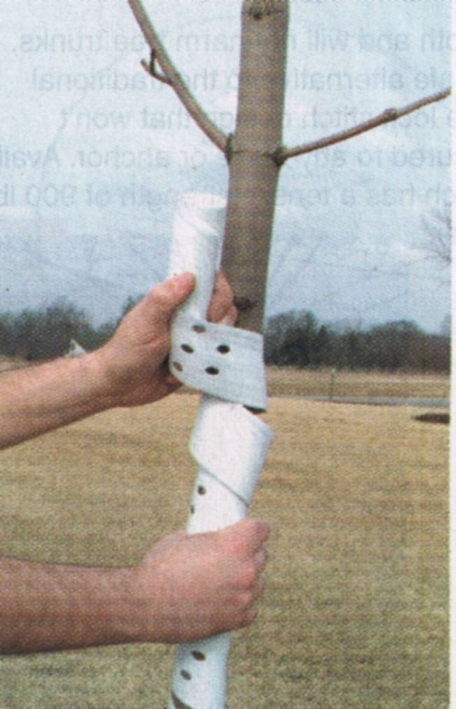 Tree Guards