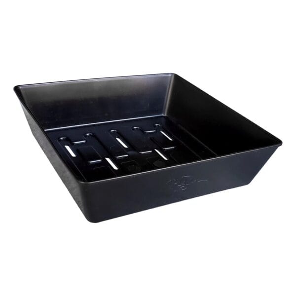 Microgreen Tray