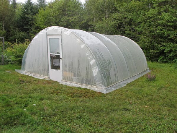 Greenhouse Plastic