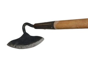 All Purpose Hoe