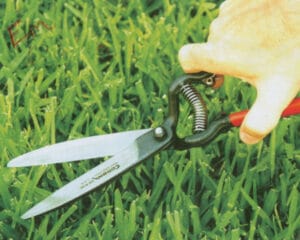 Grass Shear