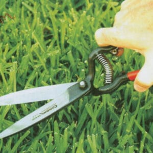 Grass Shear